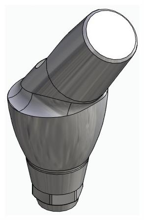 BIONIKA DENTUM, Anatomic abutment, angled, 35°, positioned, type-B