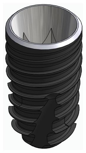 BIONIKA DENTUM, Implant