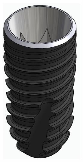BIONIKA DENTUM, Implant