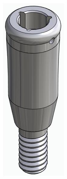 BIONIKA DENTUM, Locator abutment, straight