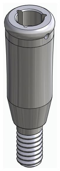 BIONIKA DENTUM, Locator abutment, straight