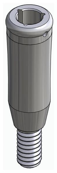 BIONIKA DENTUM, Locator abutment, straight