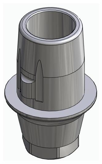 BIONIKA DENTUM, Titanium base, positioned
