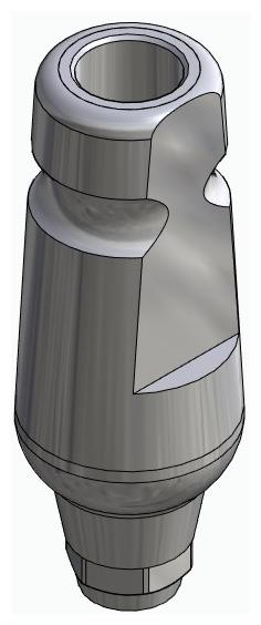 BIONIKA DENTUM, Universal abutment, straight, IC, positioned
