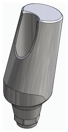 BIONIKA DENTUM, Universal abutment, angled, positioned, type-A