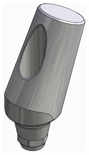 BIONIKA DENTUM, Universal abutment, angled, positioned, type-A