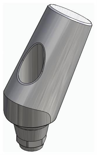 BIONIKA DENTUM, Universal abutment, angled, positioned, type-A