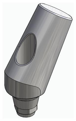 BIONIKA DENTUM, Universal abutment, angled, positioned, type-B