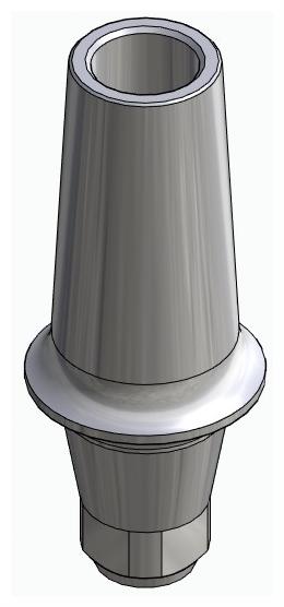 BIONIKA DN, Anatomic abutment, straight, positioned