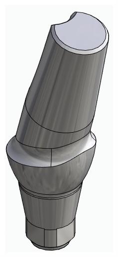 BIONIKA DN, Anatomic abutment, angled, 15°, positioned, type-A