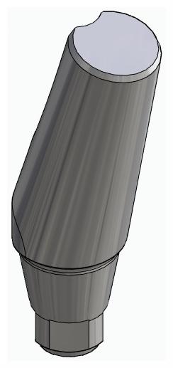 BIONIKA DN, Narrow abutment, angled, positioned, type-A
