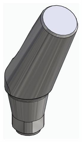 BIONIKA DN, Narrow abutment, angled, positioned, type-A
