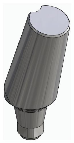 BIONIKA DN, Universal abutment, angled, positioned, type-A