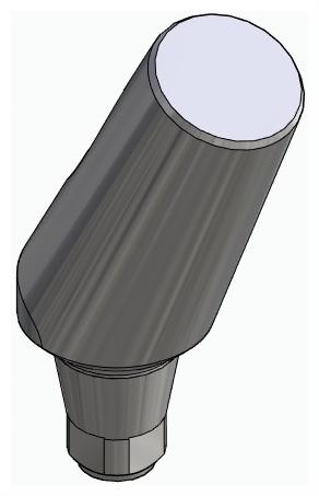 BIONIKA DN, Universal abutment, angled, positioned, type-A