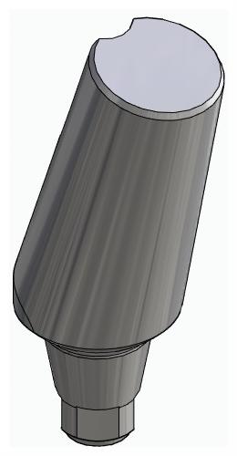 BIONIKA DN, Universal abutment, angled, positioned, type-B