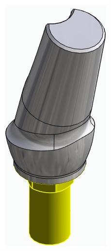 BIONIKA BIOSS, Anatomic abutment, angled, 15°, positioned, type-A