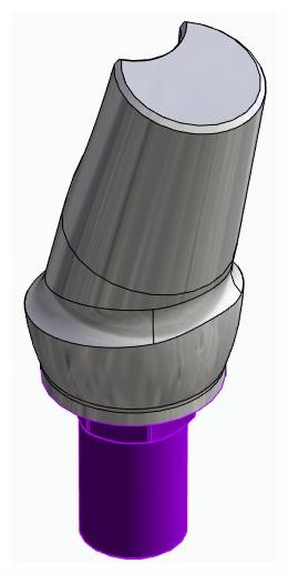 BIONIKA BIOSS, Anatomic abutment, angled, 15°, positioned, type-A