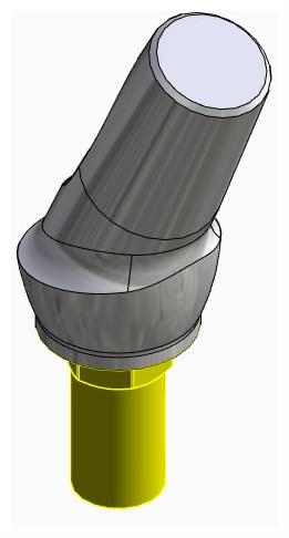 BIONIKA BIOSS, Anatomic abutment, angled, 25°, positioned, type-A