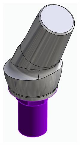 BIONIKA BIOSS, Anatomic abutment, angled, 25°, positioned, type-B