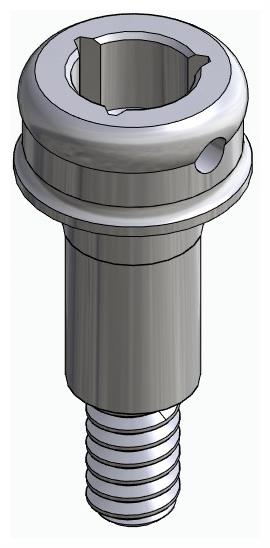 BIONIKA BIOSS, Locator abutment, straight
