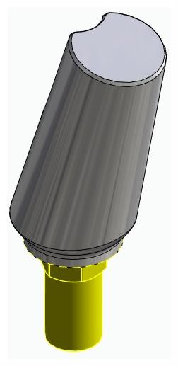 BIONIKA BIOSS, Universal abutment, angled, positioned, type-A