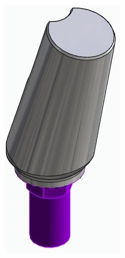 BIONIKA BIOSS, Universal abutment, angled, positioned, type-B