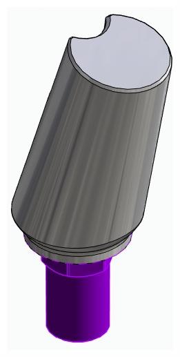 BIONIKA BIOSS, Universal abutment, angled, positioned, type-B