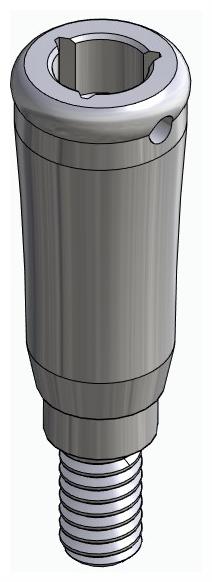 BIONIKA IMPLIE, Locator abutment, straight