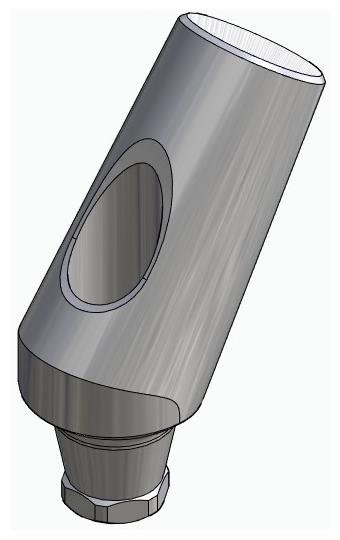 BIONIKA IMPLIE, Universal abutment, angled, positioned, type-A