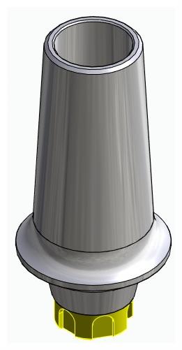 BIONIKA BK, Anatomic abutment, straight, positioned