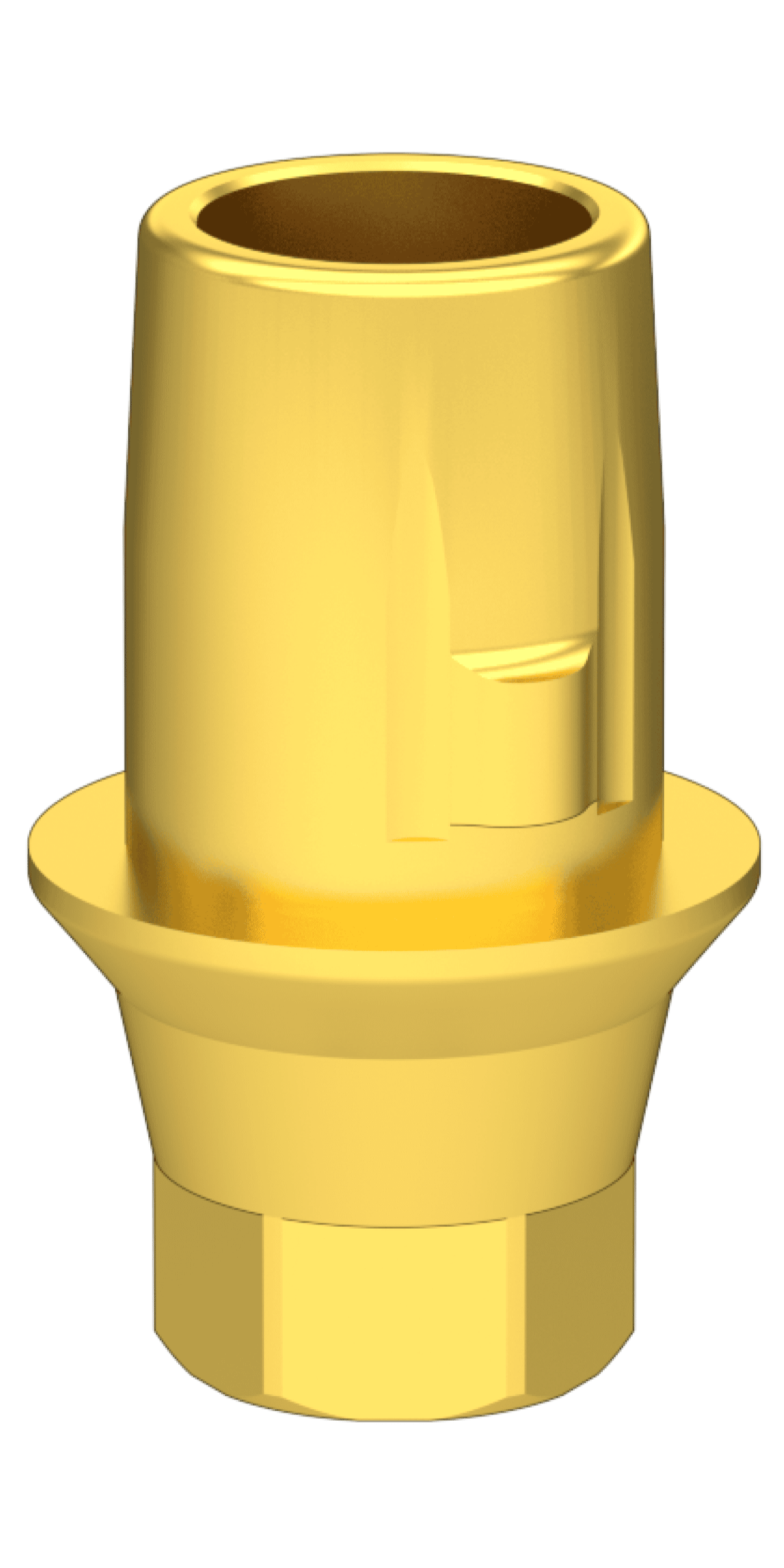 BIONIKA ACTIVAL, Titanium base, positioned