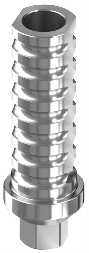 BIONIKA BIOLEVEL, Temporary abutment, implant level, positioned