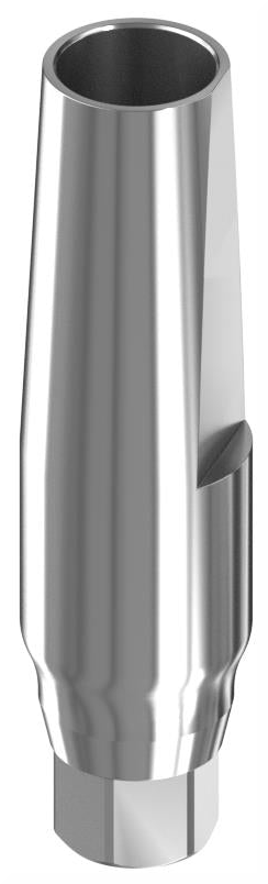 BIONIKA BIOLEVEL, Narrow abutment, straight, positioned