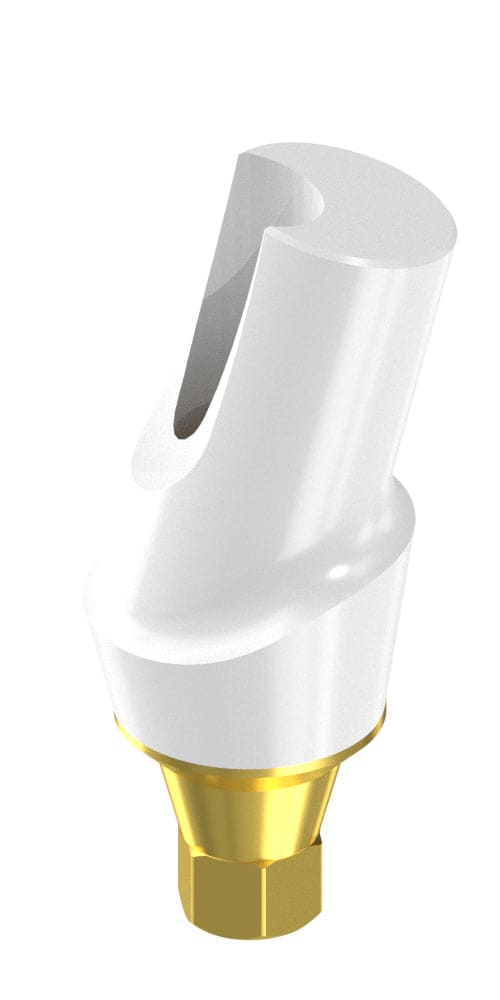 BIONIKA Cortical, Zircon abutment, with titanium base, angled, positioned