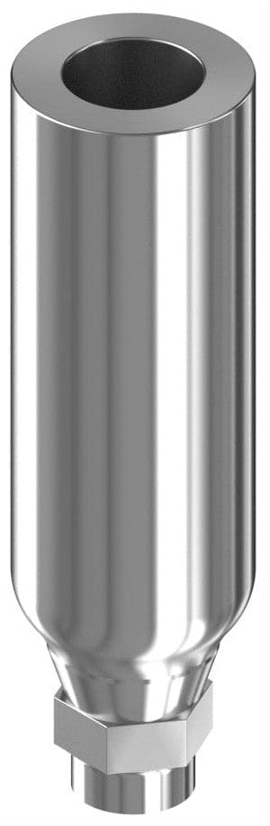 BIONIKA ECOPLANT, Cylindrical abutment, straight, positioned