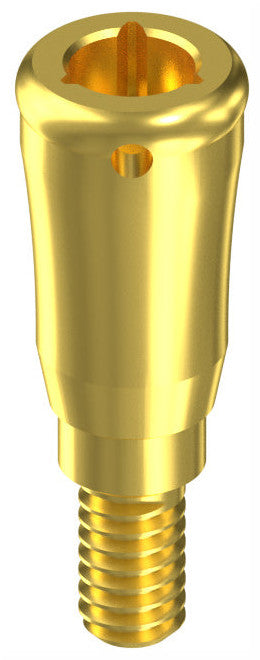 BIONIKA IMPLIE, Locator abutment, straight, mini