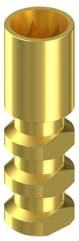 BIONIKA IMPLIE, Implant analog