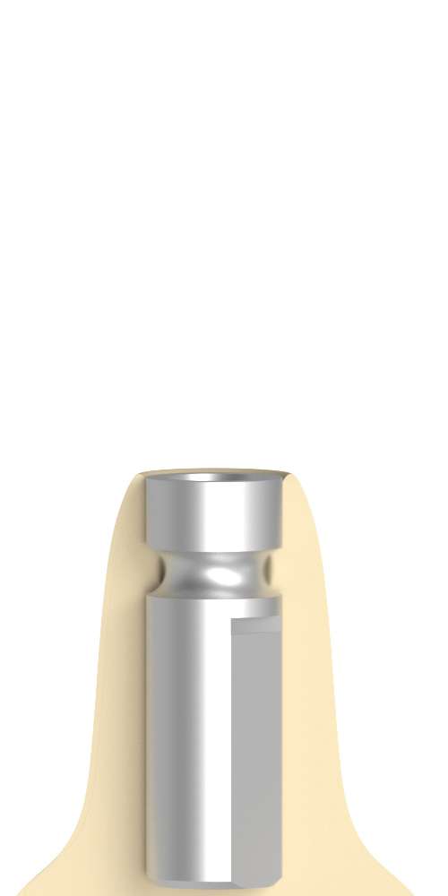 BIOPLANT, Implant analog for digital scan