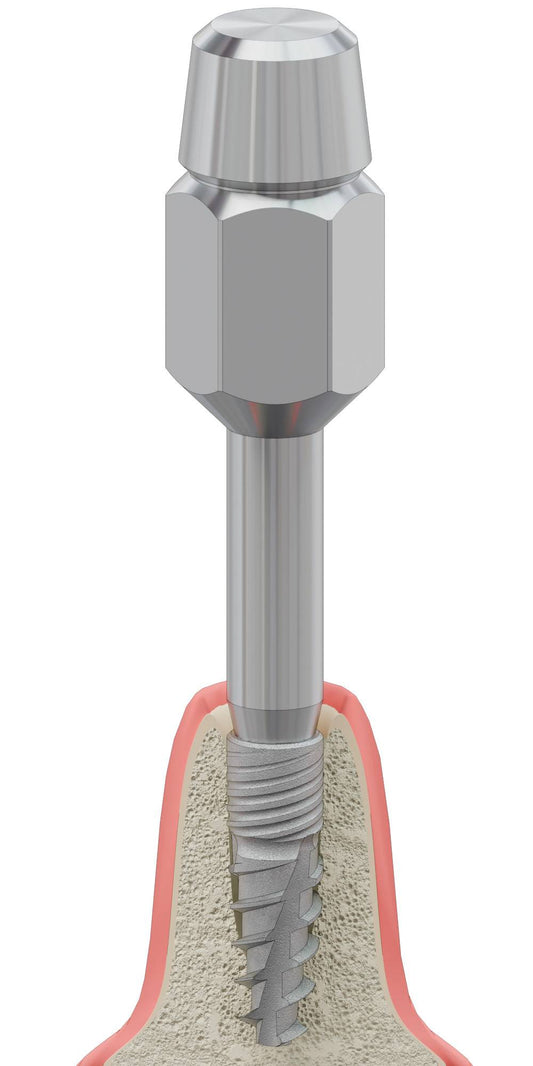 BIONIKA T-REX, Implant driver, manual, lamellar, Bionika