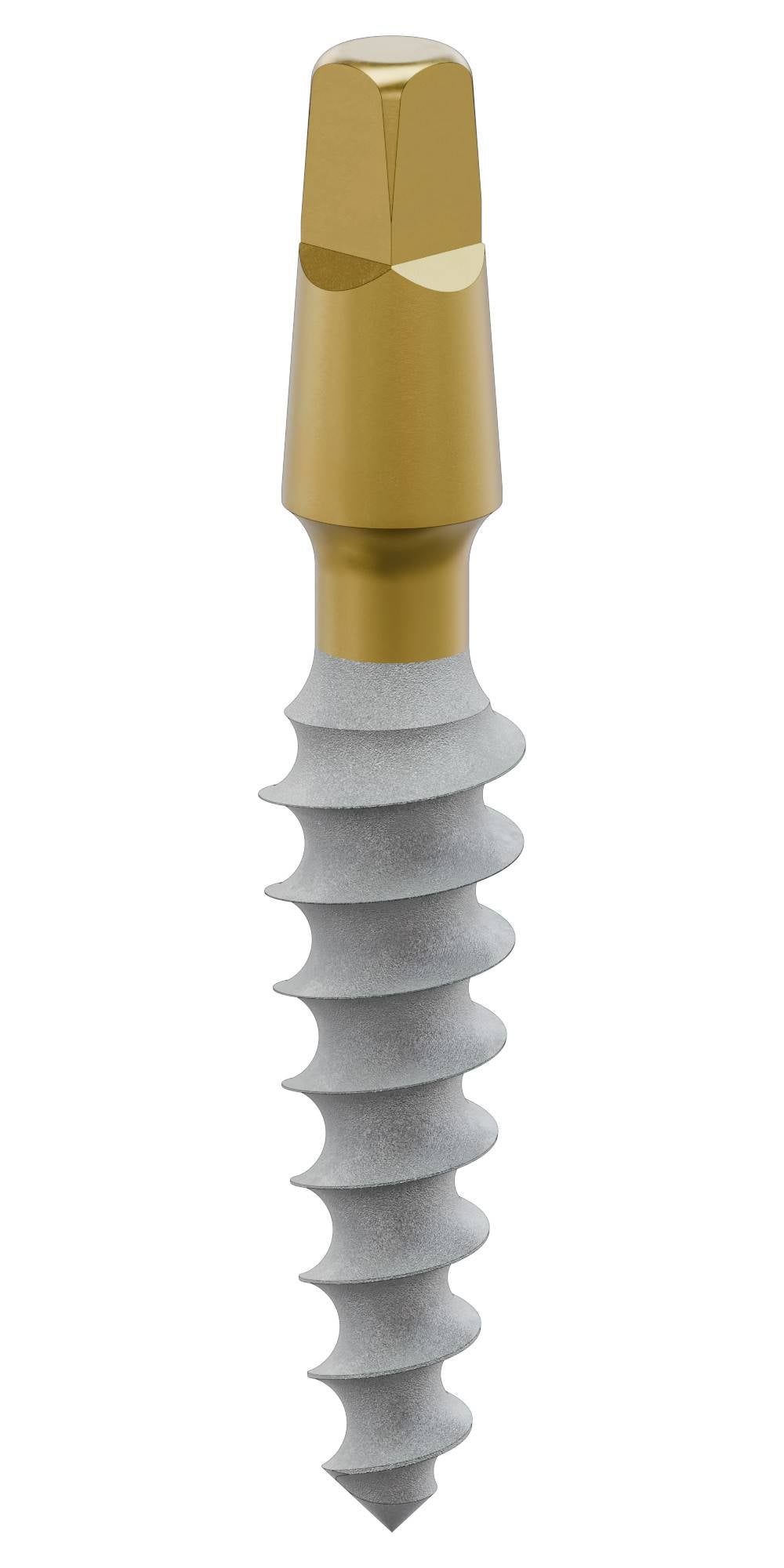 BIONIKA SLIM, Implant, stabile, classic