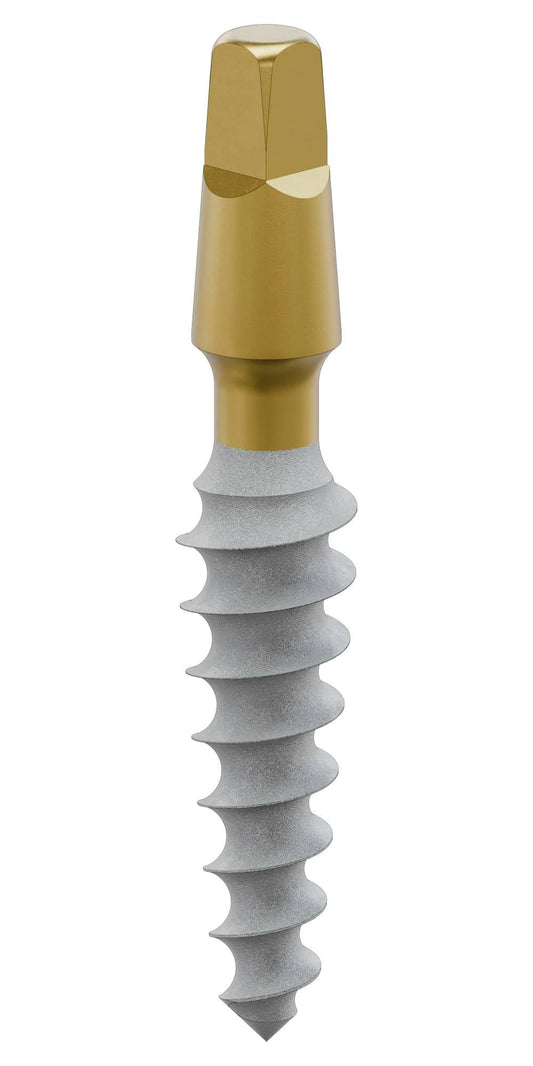BIONIKA SLIM, Implant, stabile, classic
