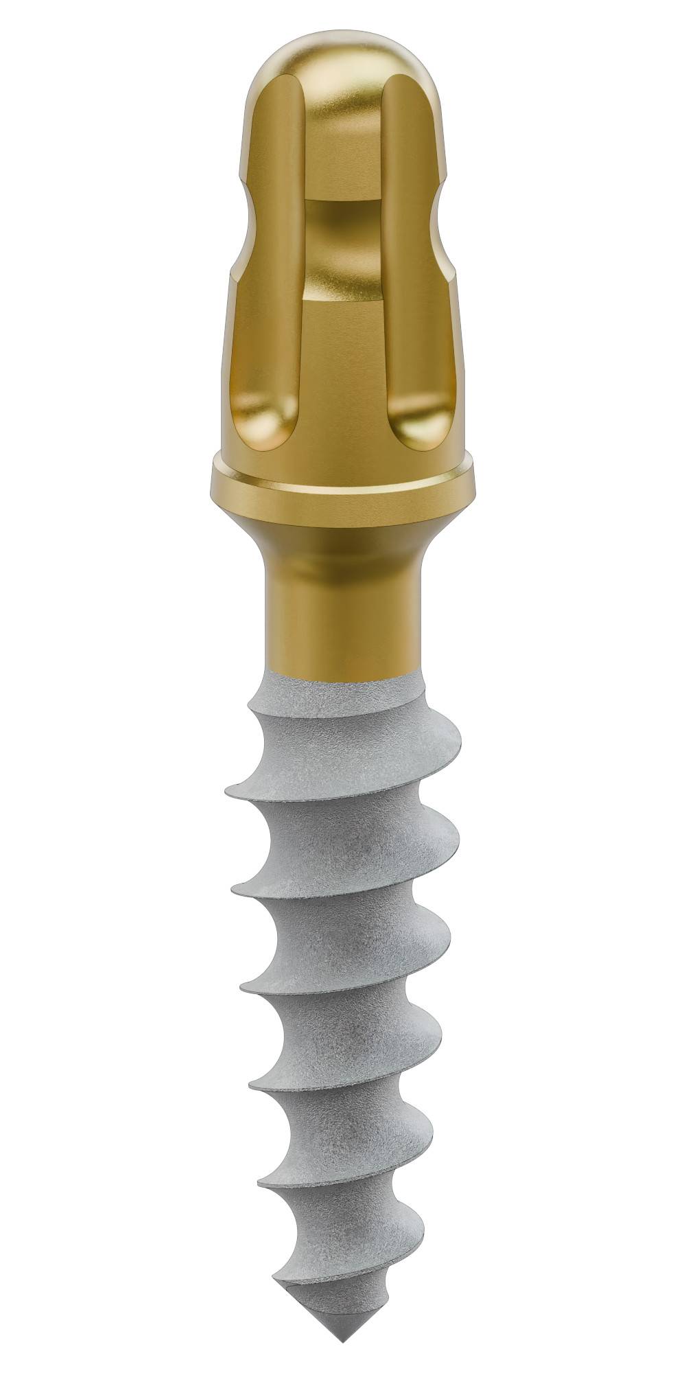BIONIKA SLIM, Implant, stabile, wide