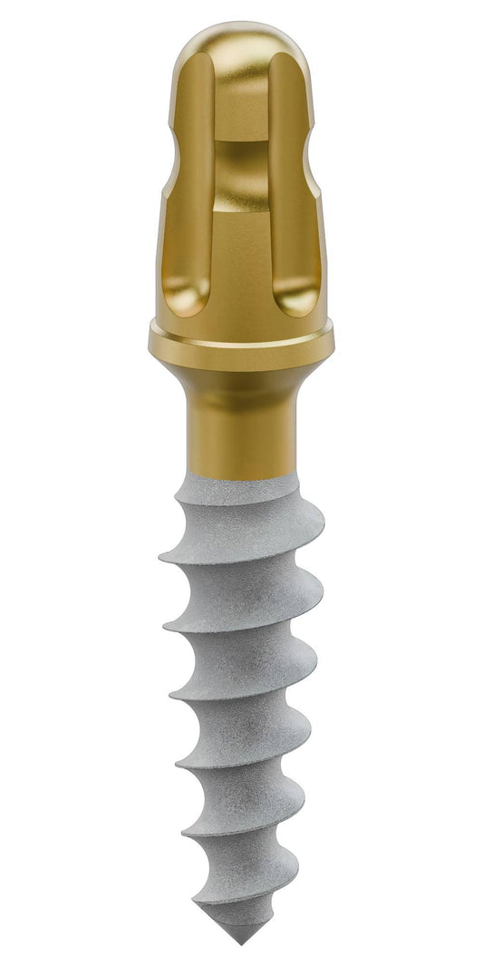 BIONIKA SLIM, Implant, stabile, wide