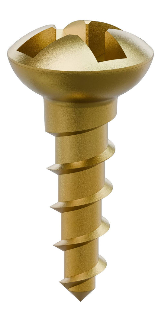BIONIKA, Cross-slot, conical screw