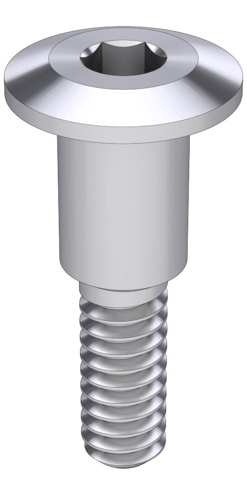 DenTi® Root Form® (DT) Compatible, Cover screw