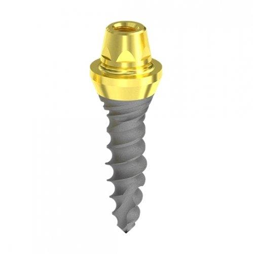 D 2,5 Hybrid mini Multi-unit head Implant