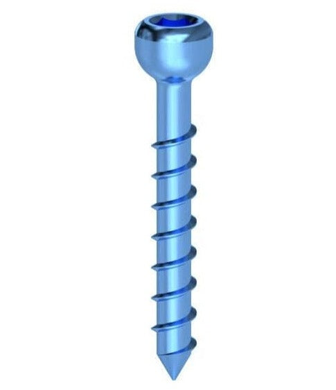 Transplant internal keyway bone screw D 1,4