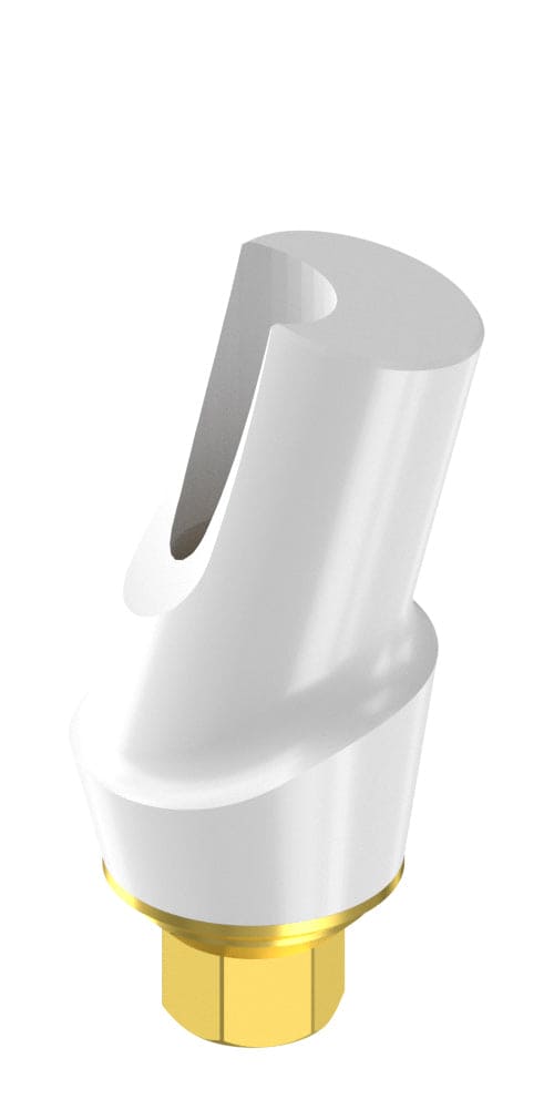UNIFORM Implant Direct® Legacy® (LG) Compatible, Zircon abutment, with titanium base, oblique, positioned