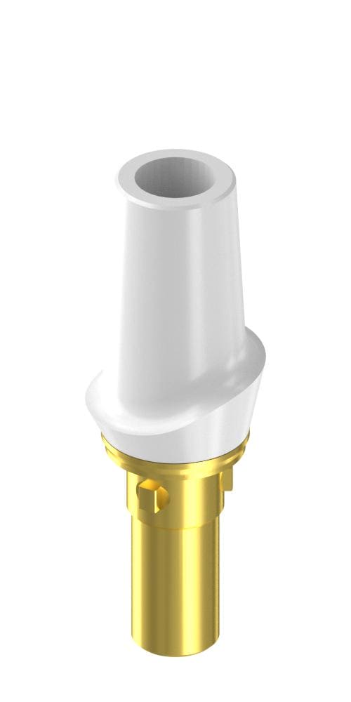 CAMLOG® (CL) Compatible, Zircon abutment, with titanium base, straight, positioned